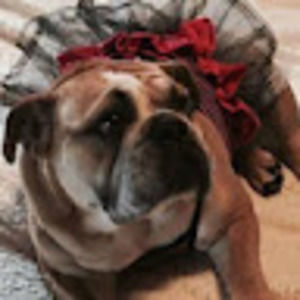 Meet your Posher, Denise